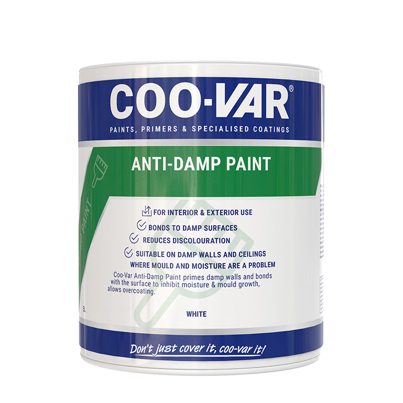 Anti Damp Paint
