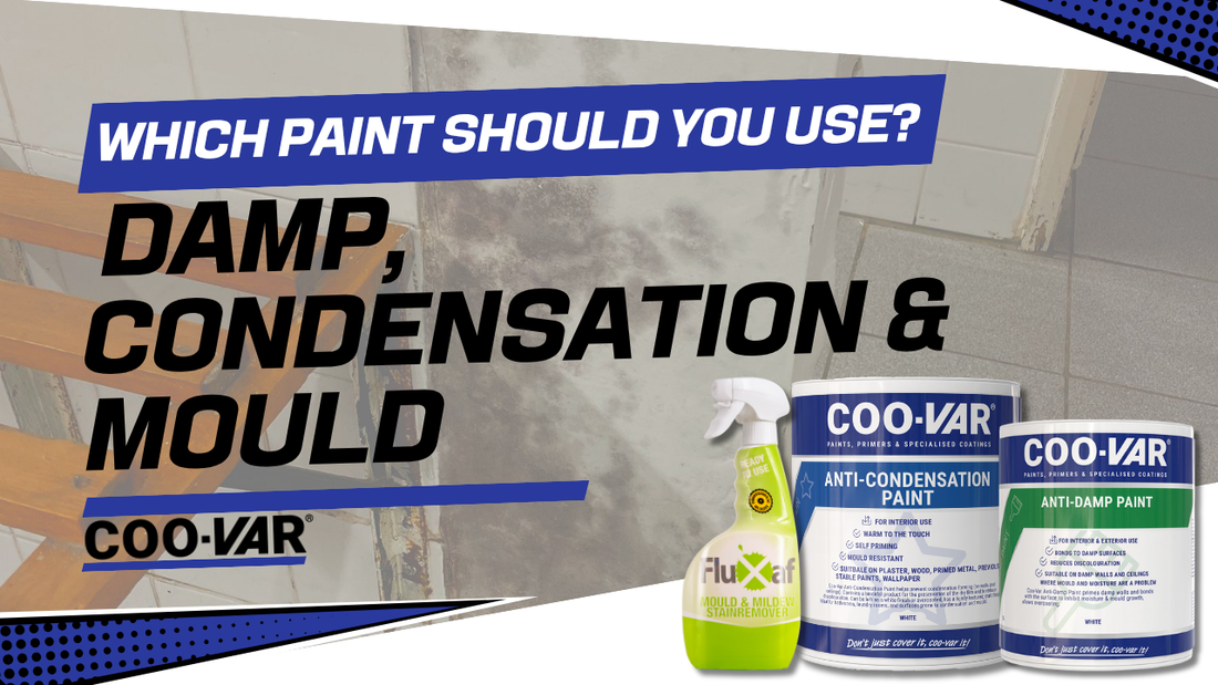 Damp, Condensation & Mould: Which Paint Should You Use?