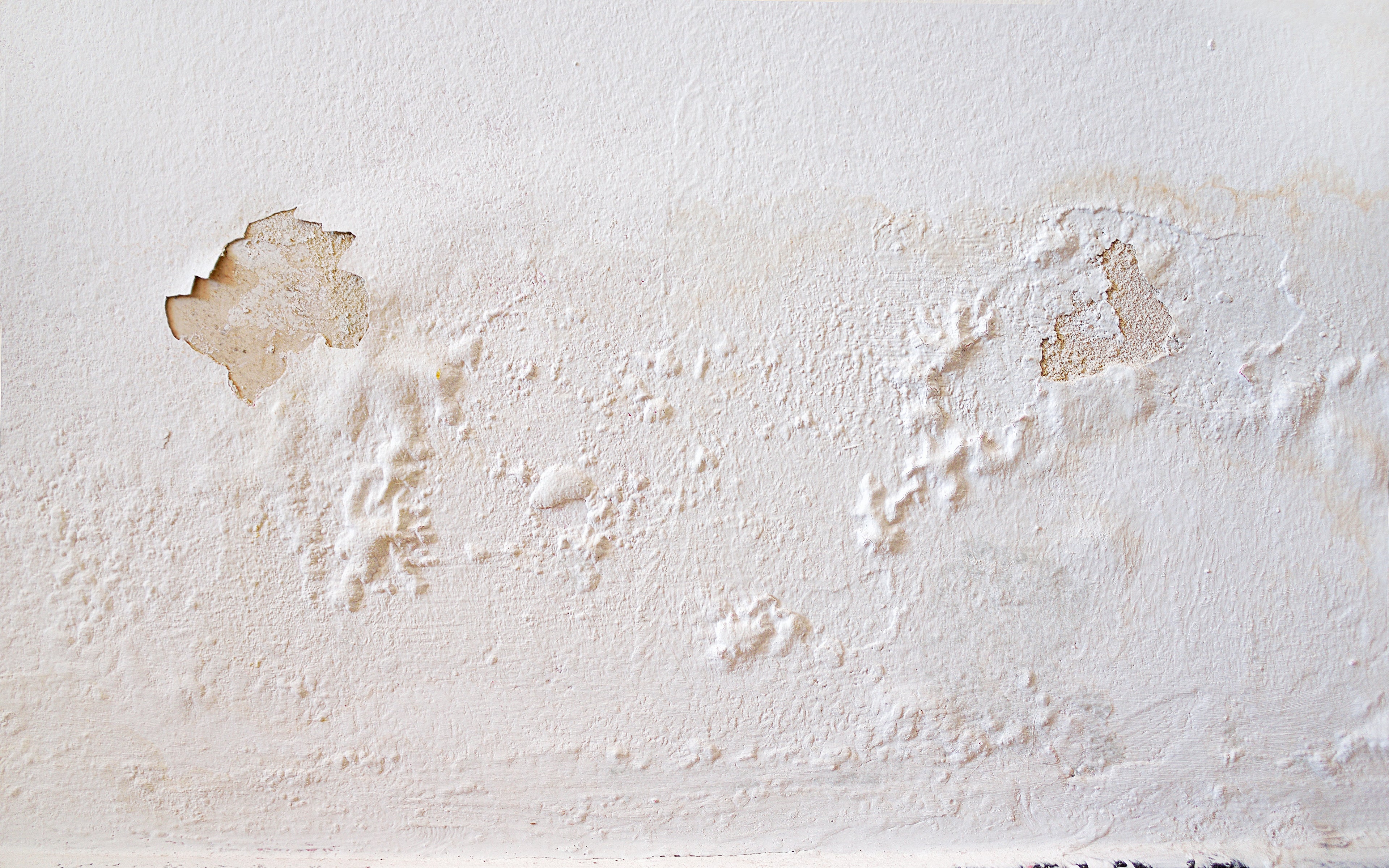 Anti-damp paint